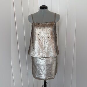 Banana Republic Collection  Sequin Double Dress – Metallic Silver